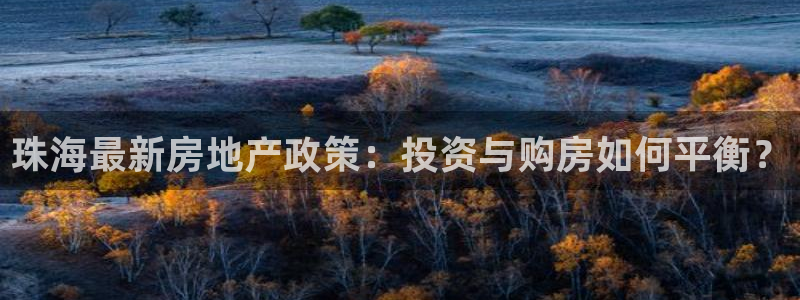 娱乐风暴开头：珠海最新房地产政策：投资与购房如何平衡？