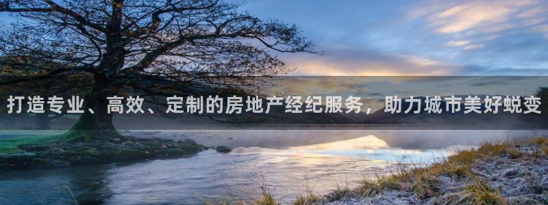 风暴娱乐左5指尖：打造专业、高效、定制的房地产经纪服务，助力