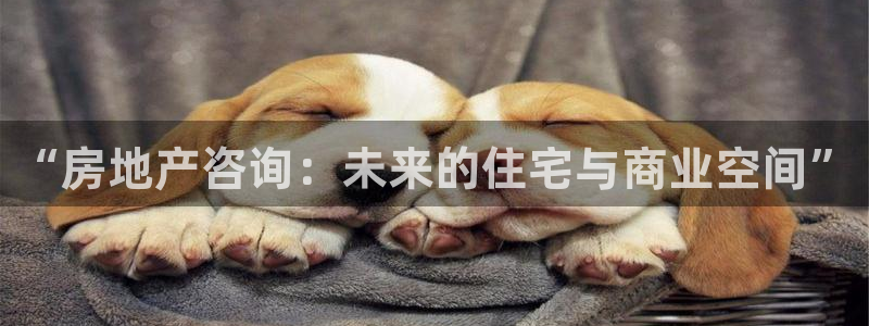 风暴娱乐图片：“房地产咨询：未来的住宅与商业空间”