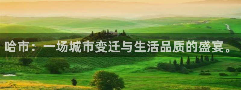 下载风暴娱乐：哈市：一场城市变迁与生活品质的盛宴。