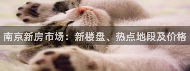 4120051风暴娱乐：南京新房市场：新楼盘、热点地段及价格