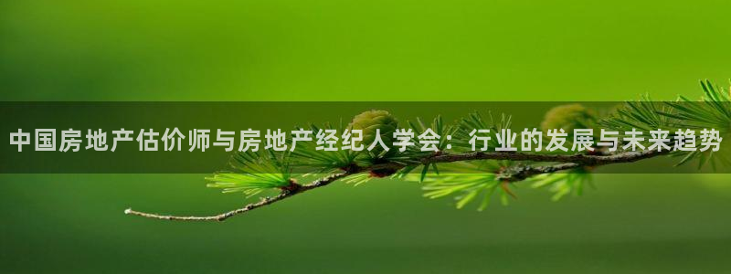 娱乐风暴系统：中国房地产估价师与房地产经纪人学会：行业的发展