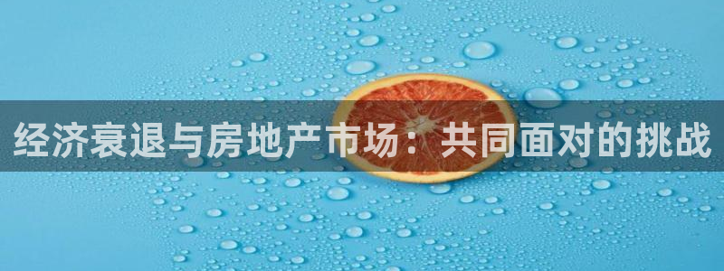 风暴娱乐：经济衰退与房地产市场：共同面对的挑战