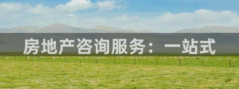 风暴娱乐提现：房地产咨询服务：一站式