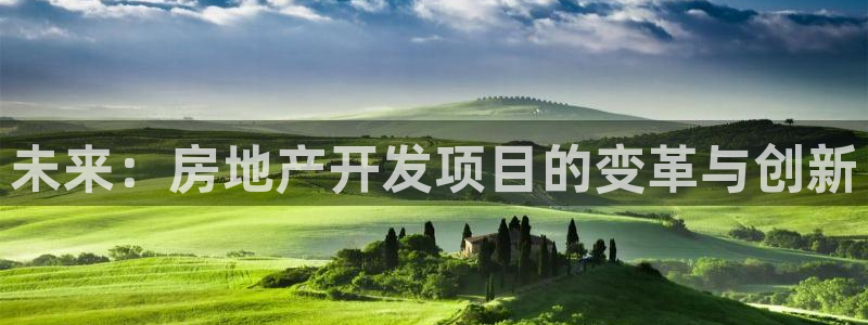 风暴娱乐1980：未来：房地产开发项目的变革与创新