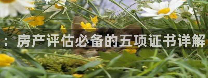 风暴娱乐注册网址：：房产评估必备的五项证书详解
