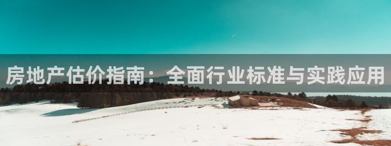 风暴娱乐下5指尖：房地产估价指南：全面行业标准与实践应用