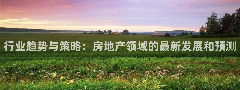 风暴娱乐代理登录：行业趋势与策略：房地产领域的最新发展和预测