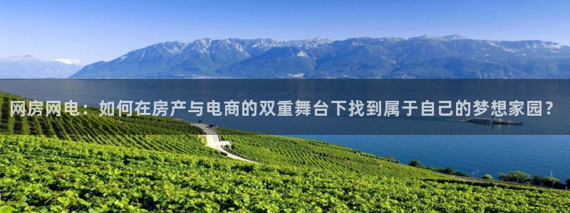 娱乐风暴系统：网房网电：如何在房产与电商的双重舞台下找到属于