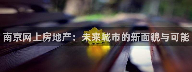 风暴娱乐注册网址：南京网上房地产：未来城市的新面貌与可能