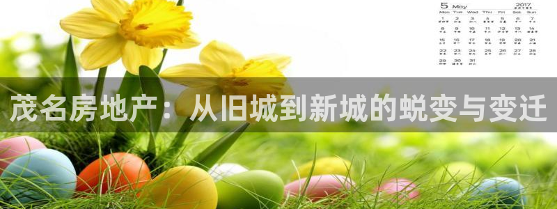 风暴娱乐测速：茂名房地产：从旧城到新城的蜕变与变迁