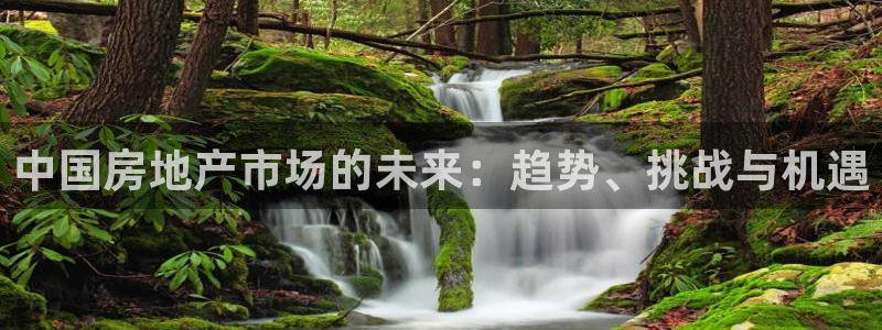 风暴娱乐测速：中国房地产市场的未来：趋势、挑战与机遇