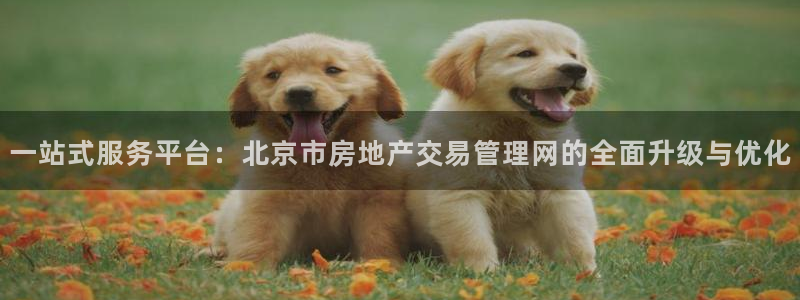 风暴娱乐代理登录：一站式服务平台：北京市房地产交易管理网的全