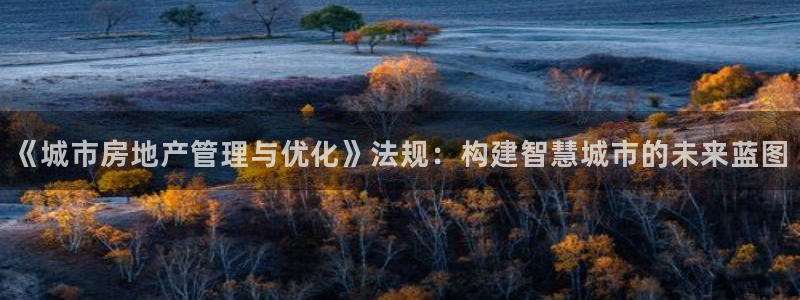 风暴娱乐测速：《城市房地产管理与优化》法规：构建智慧城市的未