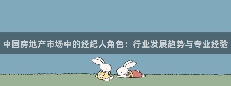 下载风暴娱乐：中国房地产市场中的经纪人角色：行业发展趋势与专