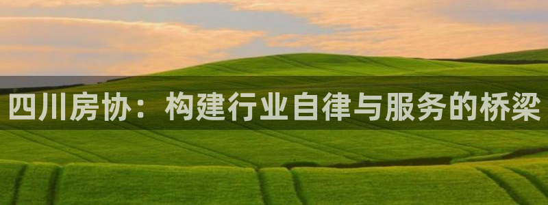 风暴娱乐图片：四川房协：构建行业自律与服务的桥梁