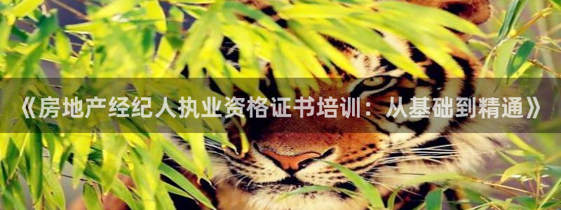 风暴娱乐注册网址：《房地产经纪人执业资格证书培训：从基础到精