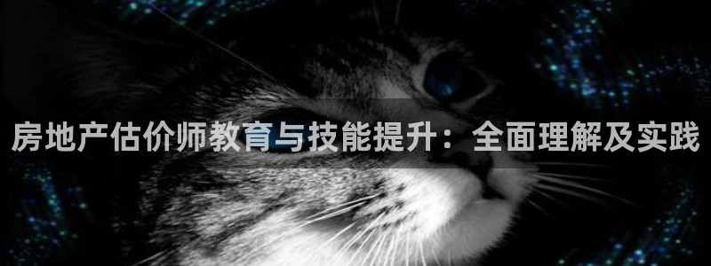 风暴娱乐开户：房地产估价师教育与技能提升：全面理解及实践