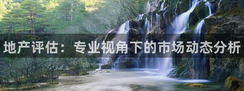 风暴娱乐客服：地产评估：专业视角下的市场动态分析