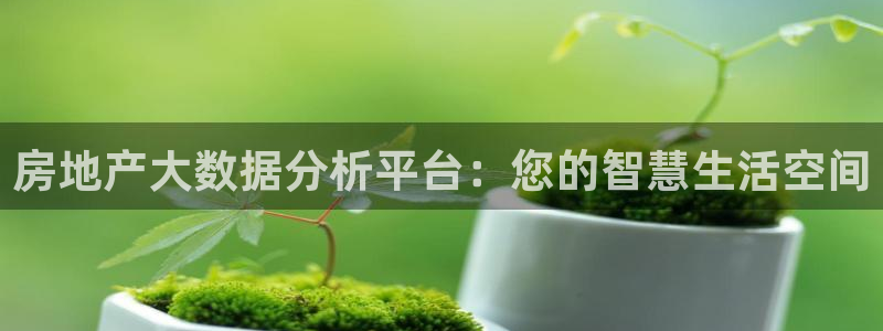 风暴娱乐派对：房地产大数据分析平台：您的智慧生活空间