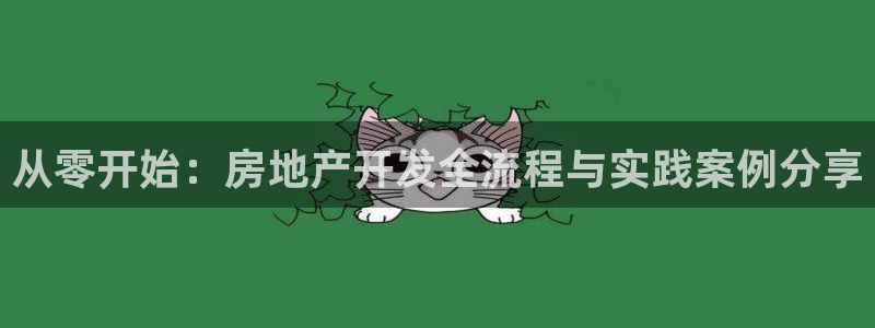 风暴娱乐眼：从零开始：房地产开发全流程与实践案例分享