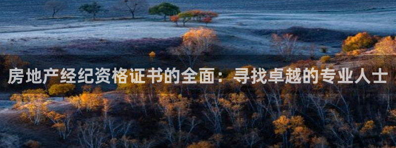 注册风暴娱乐：房地产经纪资格证书的全面：寻找卓越的专业人士