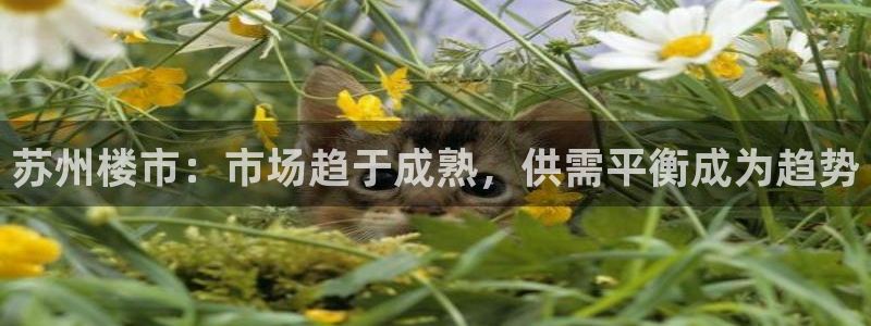 风暴娱乐套路：苏州楼市：市场趋于成熟，供需平衡成为趋势