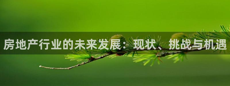 风暴娱乐眼：房地产行业的未来发展：现状、挑战与机遇