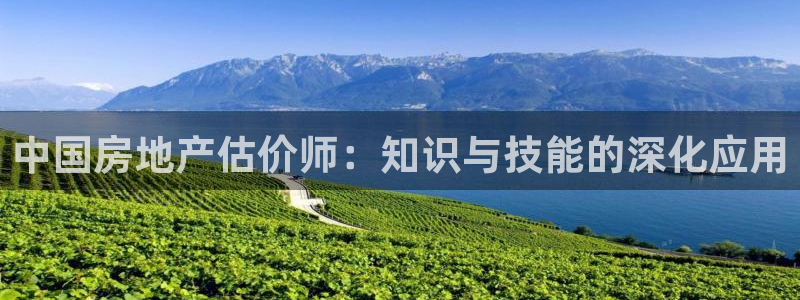 风暴娱乐1980：中国房地产估价师：知识与技能的深化应用