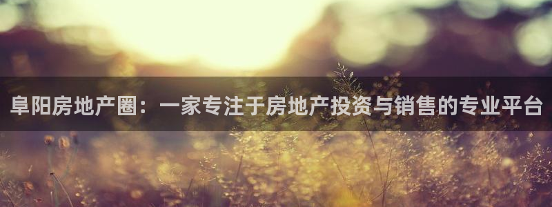 娱乐风暴合集：阜阳房地产圈：一家专注于房地产投资与销售的专业