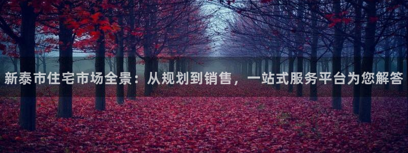 光风暴娱乐：新泰市住宅市场全景：从规划到销售，一站式服务平台