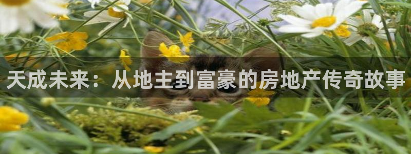 风暴娱乐平台地址