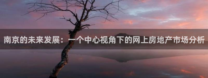风暴英雄娱乐：南京的未来发展：一个中心视角下的网上房地产市场