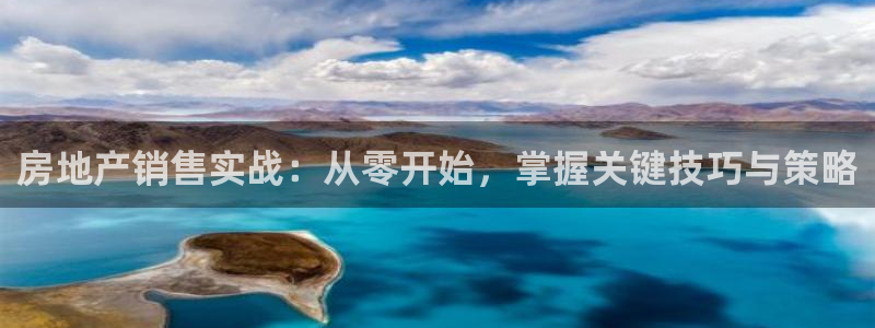 风暴娱乐主管是谁：房地产销售实战：从零开始，掌握关键技巧与策