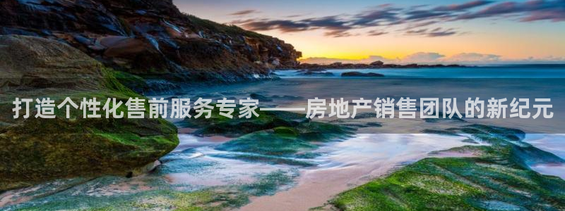 风暴娱乐求333OOa：打造个性化售前服务专家——房地产销售