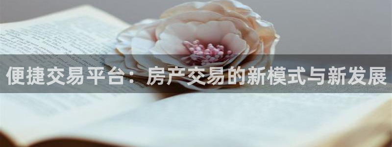 风暴娱乐厅：便捷交易平台：房产交易的新模式与新发展