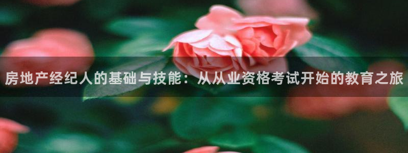 风暴娱乐平台地址：房地产经纪人的基础与技能：从从业资格考试开