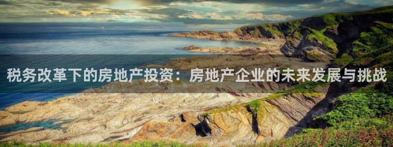 4120051风暴娱乐：税务改革下的房地产投资：房地产企业的