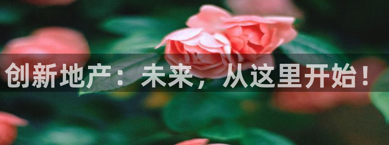 风暴娱乐fb：创新地产：未来，从这里开始！