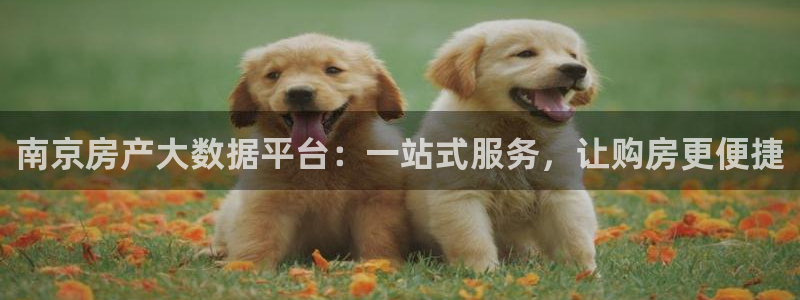 风暴娱乐字图片大全：南京房产大数据平台：一站式服务，让购房更