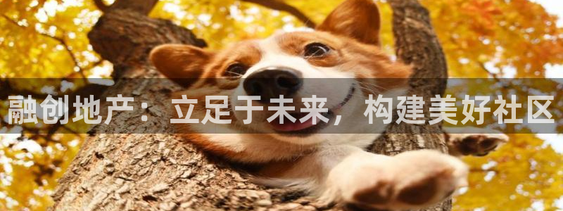 菲律宾风暴娱乐集团：融创地产：立足于未来，构建美好社区