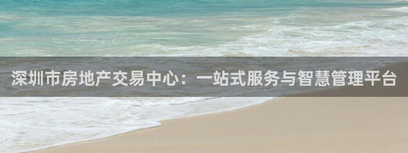 风暴娱乐1980：深圳市房地产交易中心：一站式服务与智慧管理
