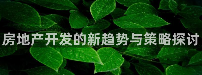 风暴娱乐求333OOf：房地产开发的新趋势与策略探讨