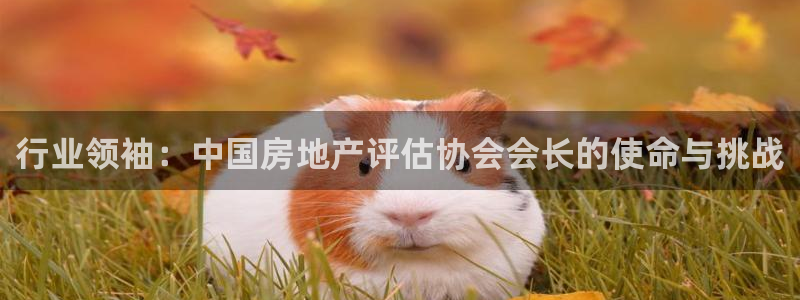 风暴娱乐1：行业领袖：中国房地产评估协会会长的使命与挑战