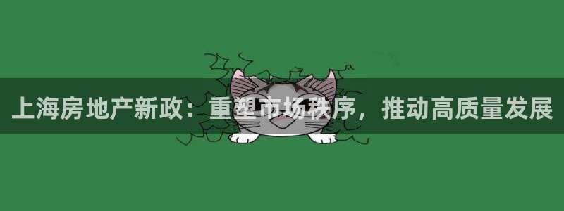 风暴娱乐网：上海房地产新政：重塑市场秩序，推动高质量发展