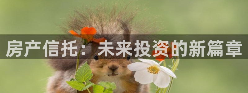 风暴娱乐月5指尖：房产信托：未来投资的新篇章