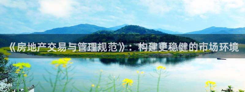 风暴娱乐代理登录：《房地产交易与管理规范》：构建更稳健的市场