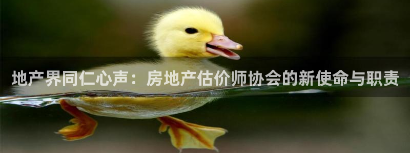 风暴娱乐官网开户：地产界同仁心声：房地产估价师协会的新使命与