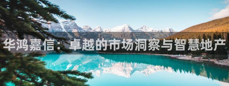 风暴娱乐去人l8888：华鸿嘉信：卓越的市场洞察与智慧地产