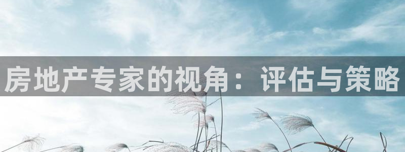 风暴娱乐下5指尖：房地产专家的视角：评估与策略